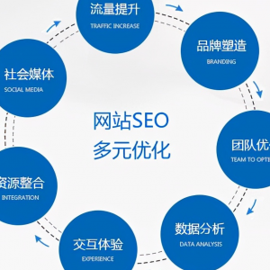 个性化SEO定制提升方案